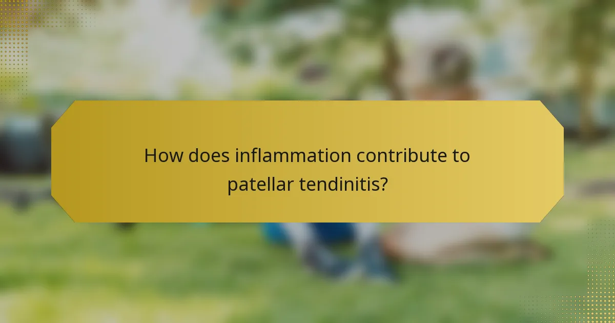 How does inflammation contribute to patellar tendinitis?