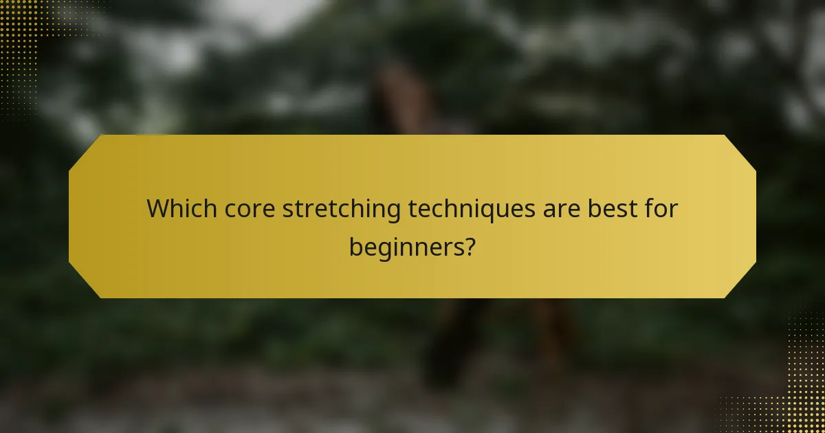Which core stretching techniques are best for beginners?